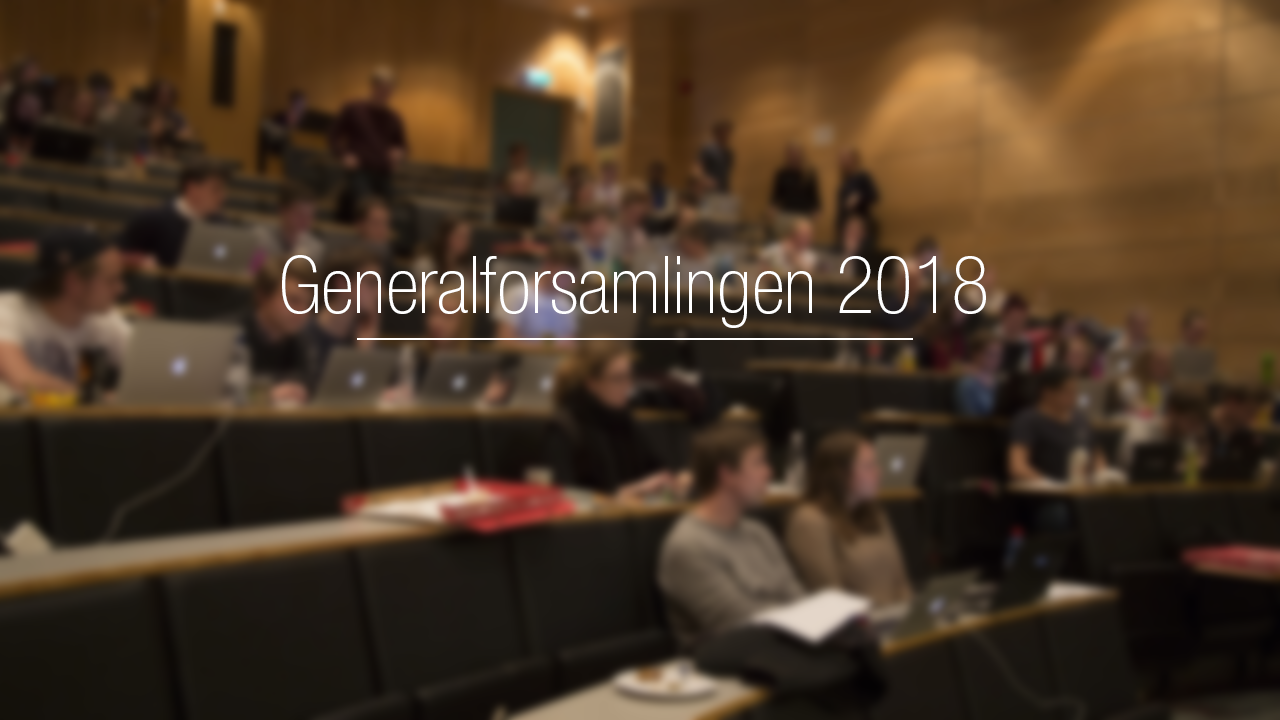 Bilde til artikkelen om generalforsamlingen 2018